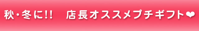 2011ǯ9���2012ǯ2��ŹĹ��������ν��ߥץ����ե�